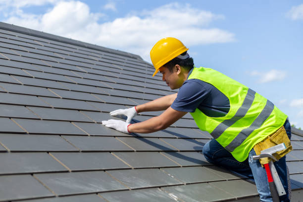 Best Roof Gutter Cleaning  in Geneva, FL